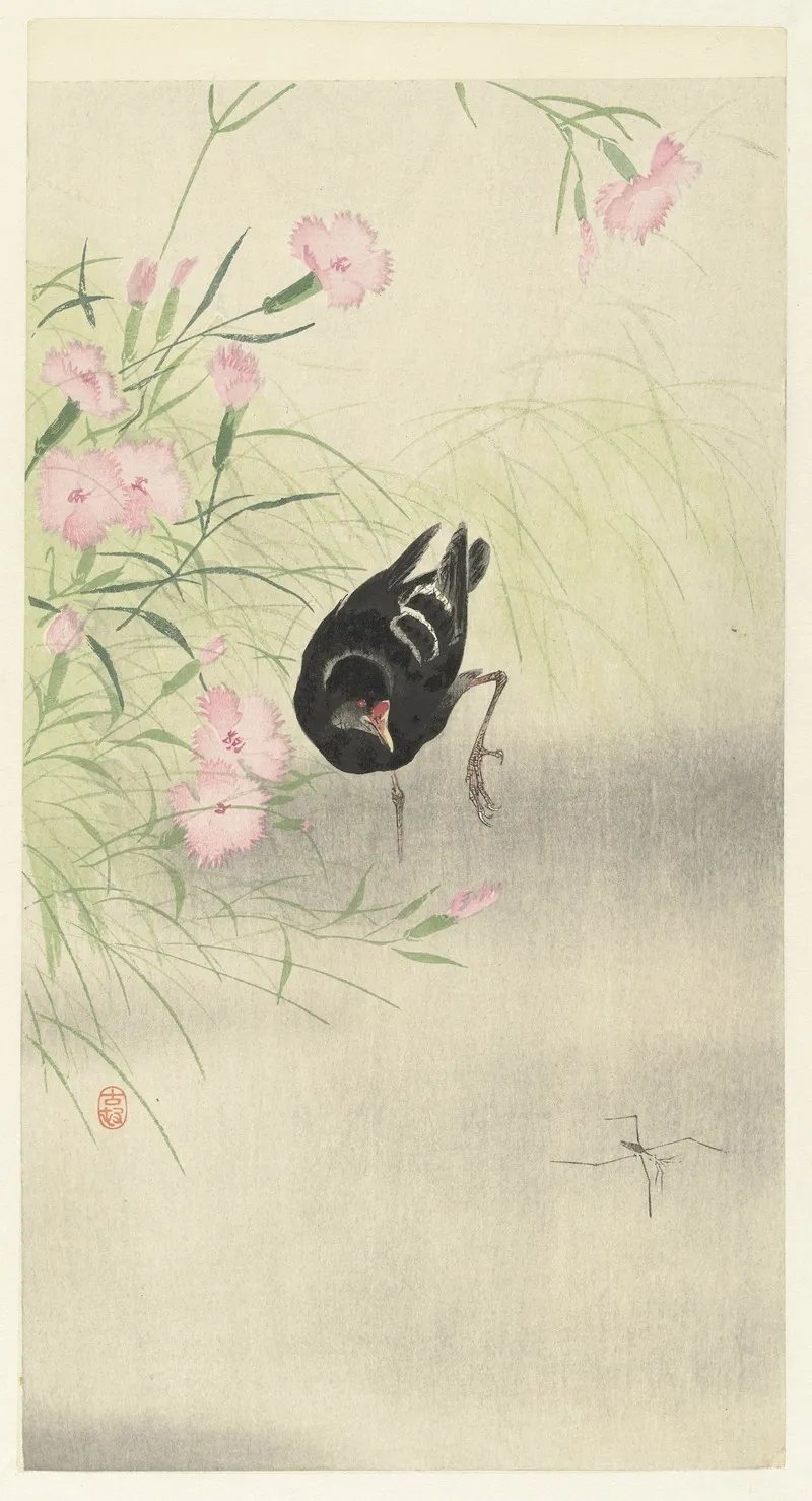 Moorhen At Flowering Plant