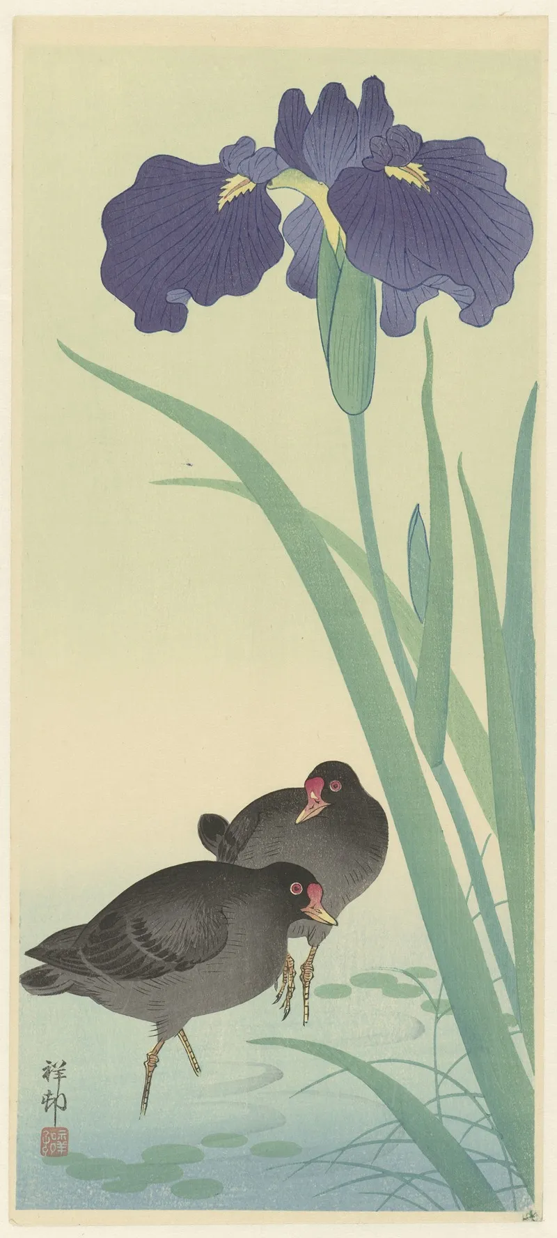 Moorhens And Iris Wall Art by Ohara Koson - High-Resolution Digital Print