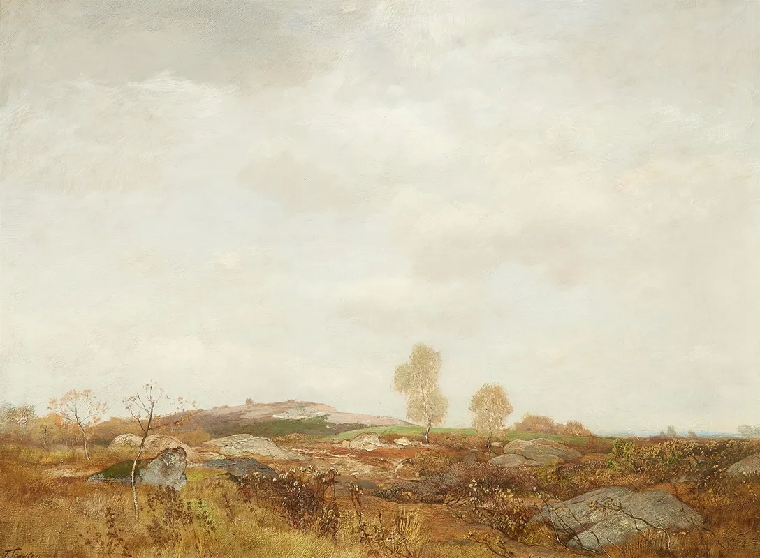 Moorlandschaft 5