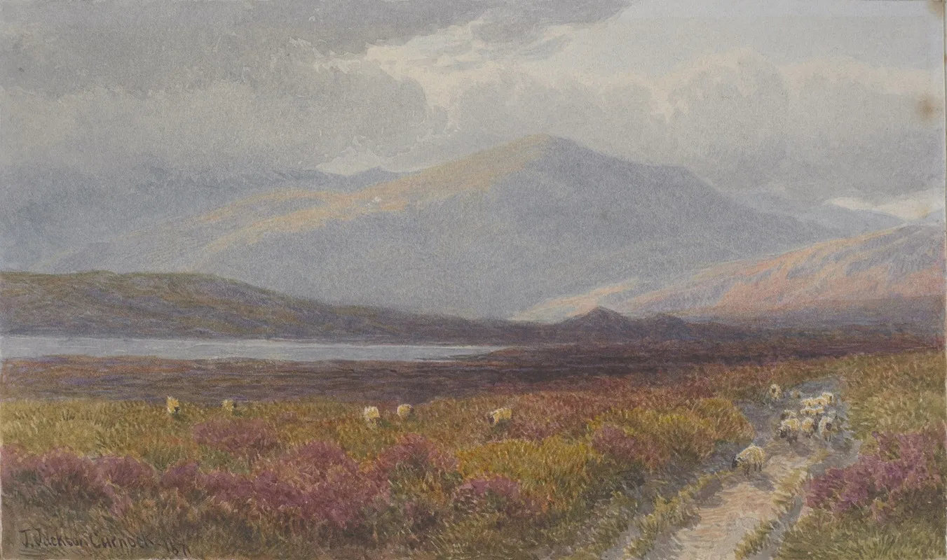 Moors At Pen Craig North Wales Wall Art by James Curnock - High-Resolution Digital Print