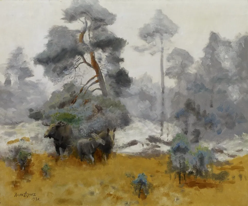 Moose Family Entering A Clearing