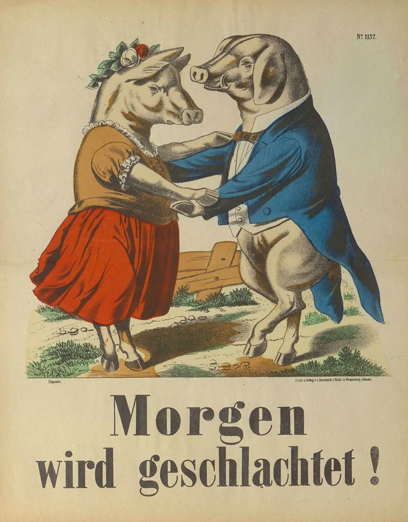Morgen Wird Geschlachtet