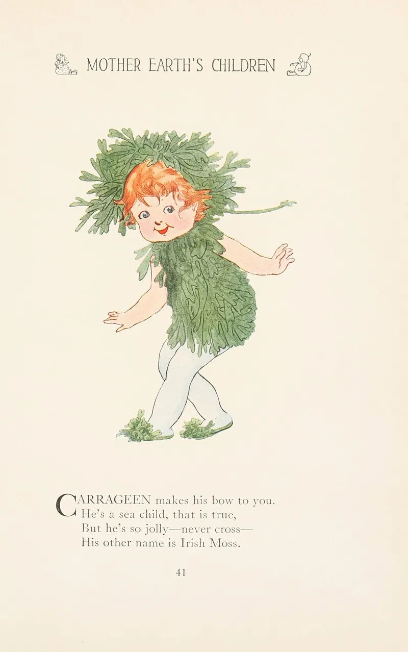 Mother Earths Children The Frolics Of The Fruits And Vegetables Pl 33