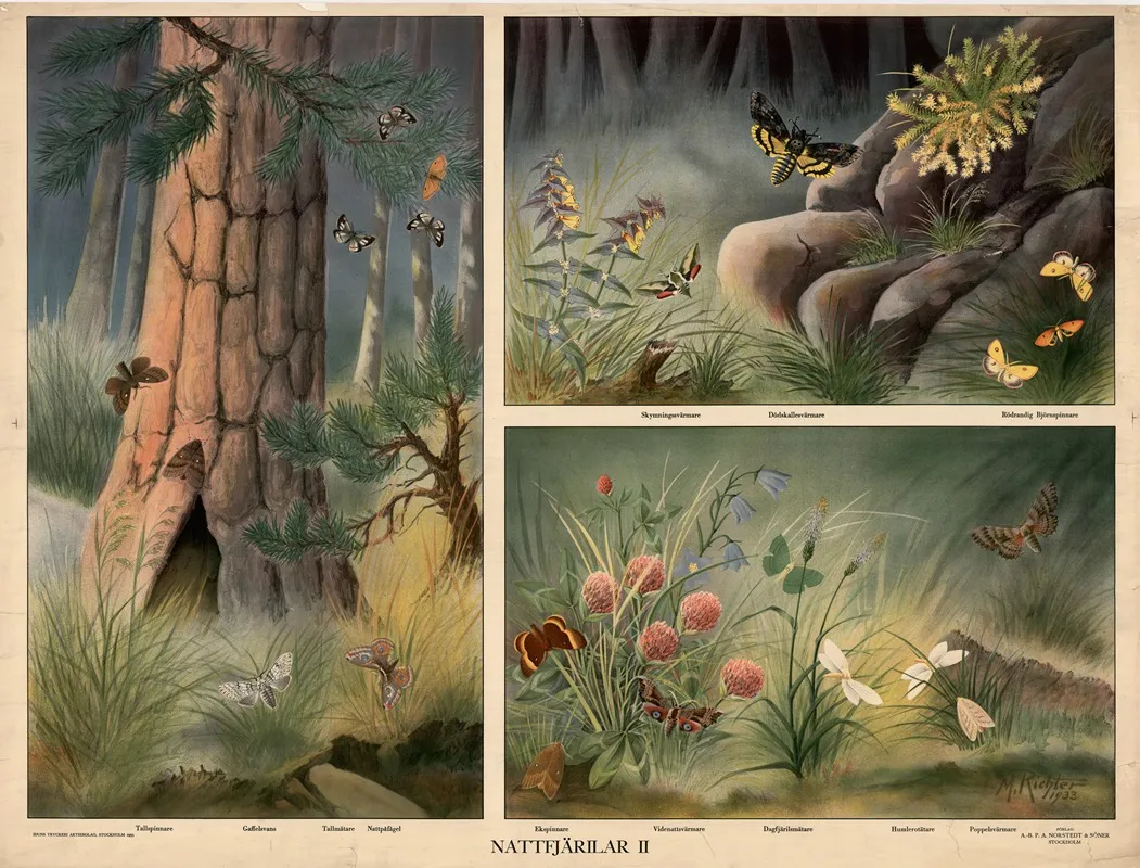 Moths Ii Wall Art by Max Richter - High-Resolution Digital Print