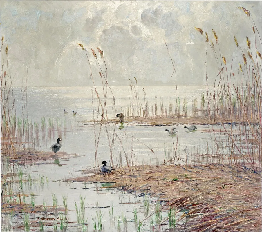 Motiv Vom Tollense See Mecklenburg Lake Plateau Wall Art by Ferdinand Schebek - High-Resolution Digital Print