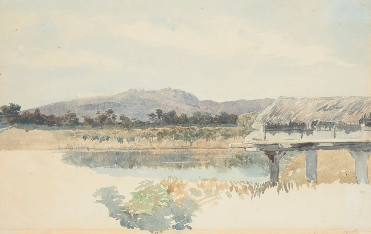 Mount Rochfort From The Buller