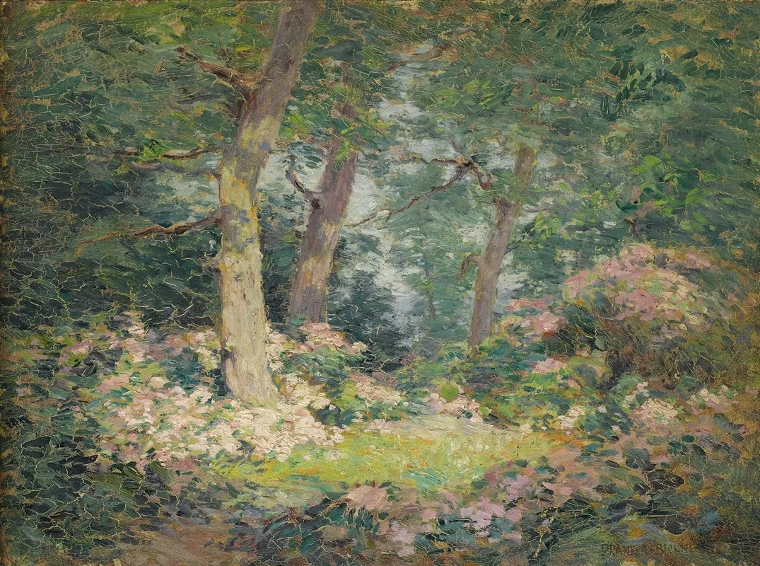 Mountain Laurel