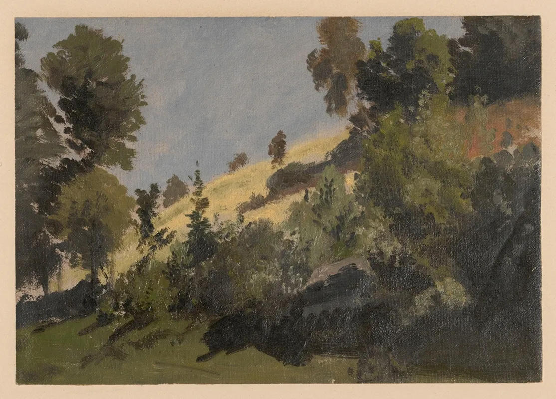 Mountain Slope Near Ksiaz