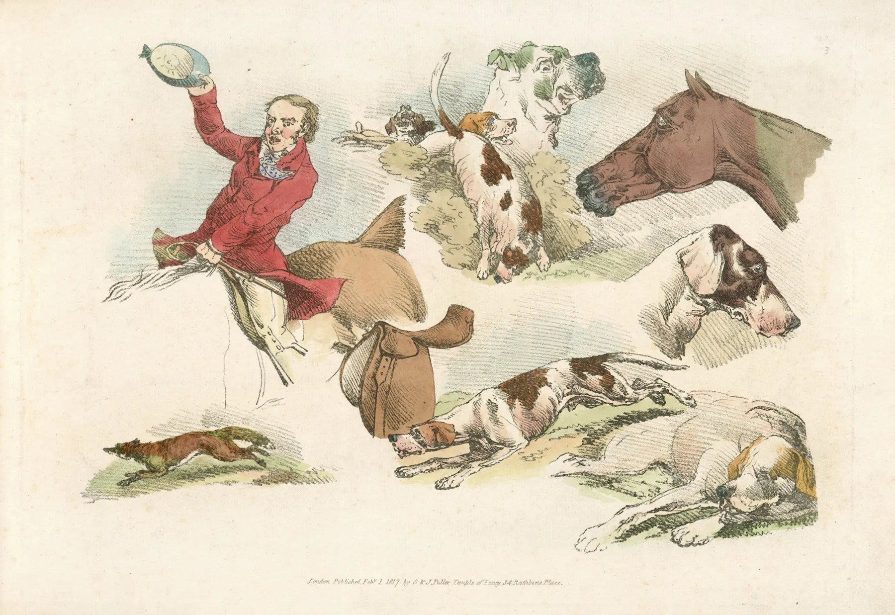 Mounted Hunter Running Dogs And A Fox
