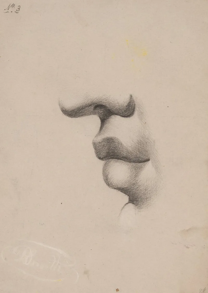 Mouth Study Facing Left No 3