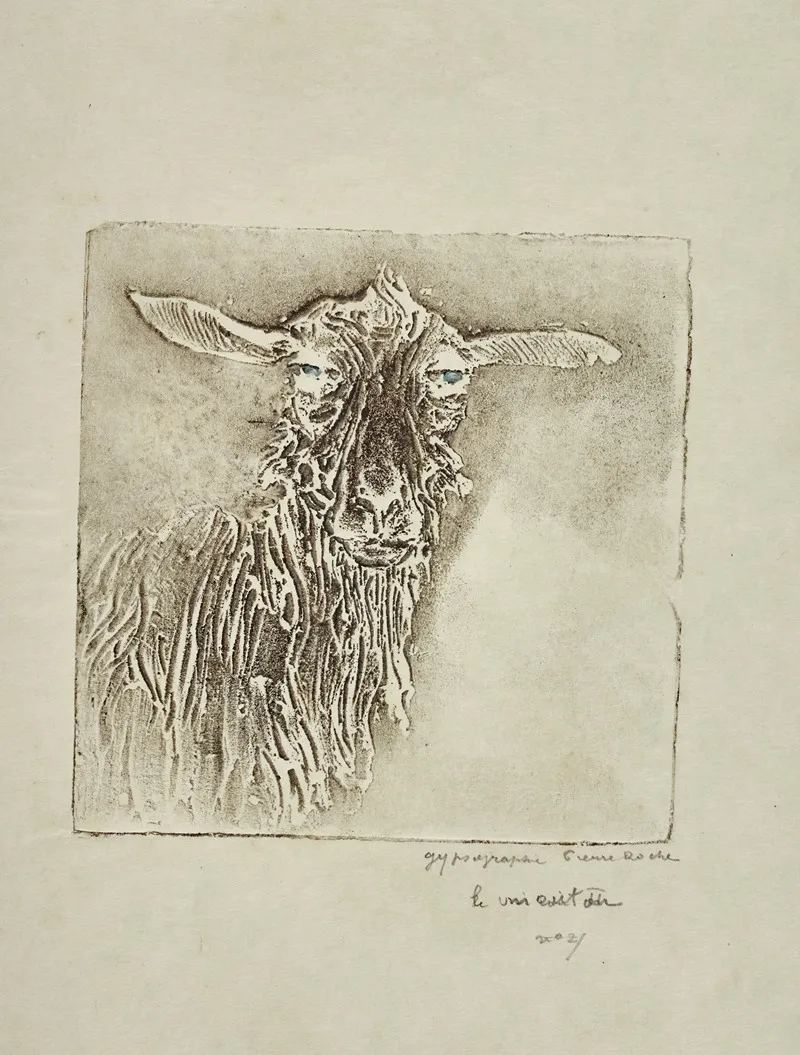 Mouton Noir