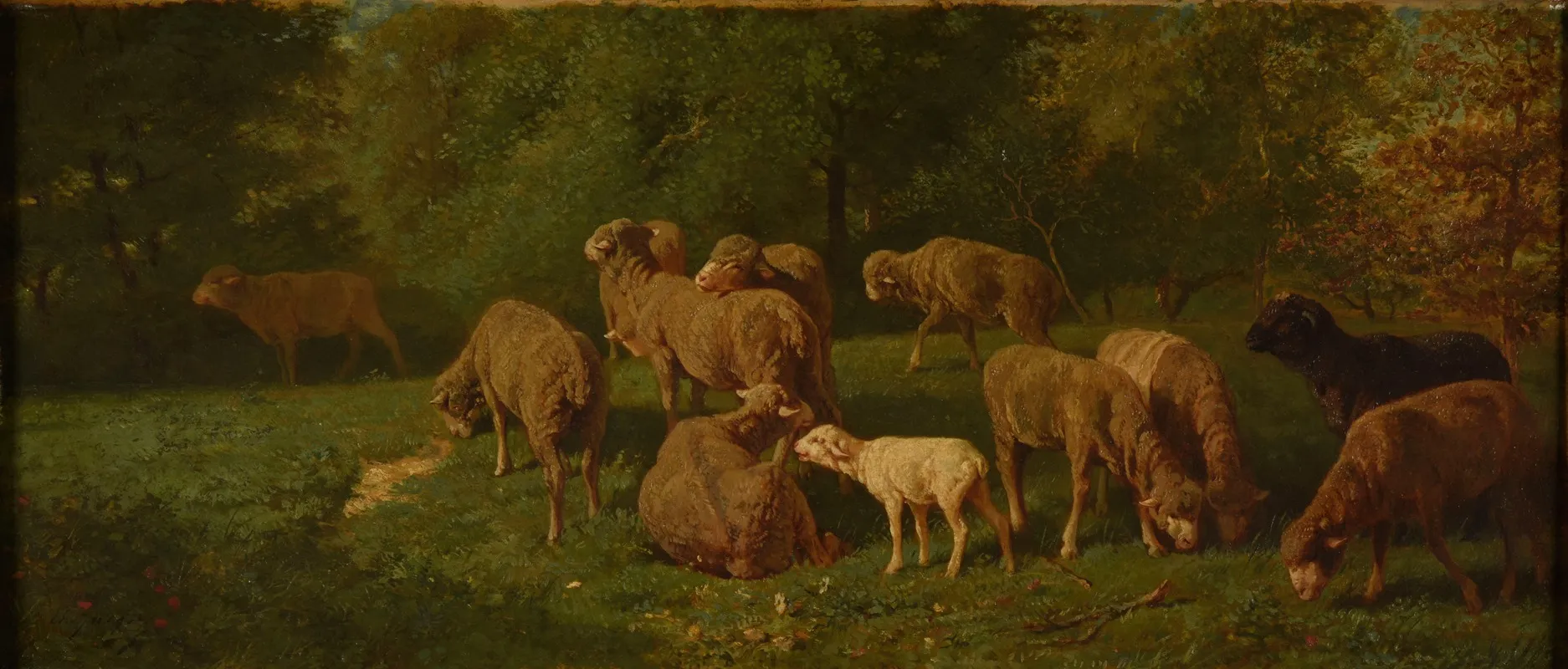 Moutons 2