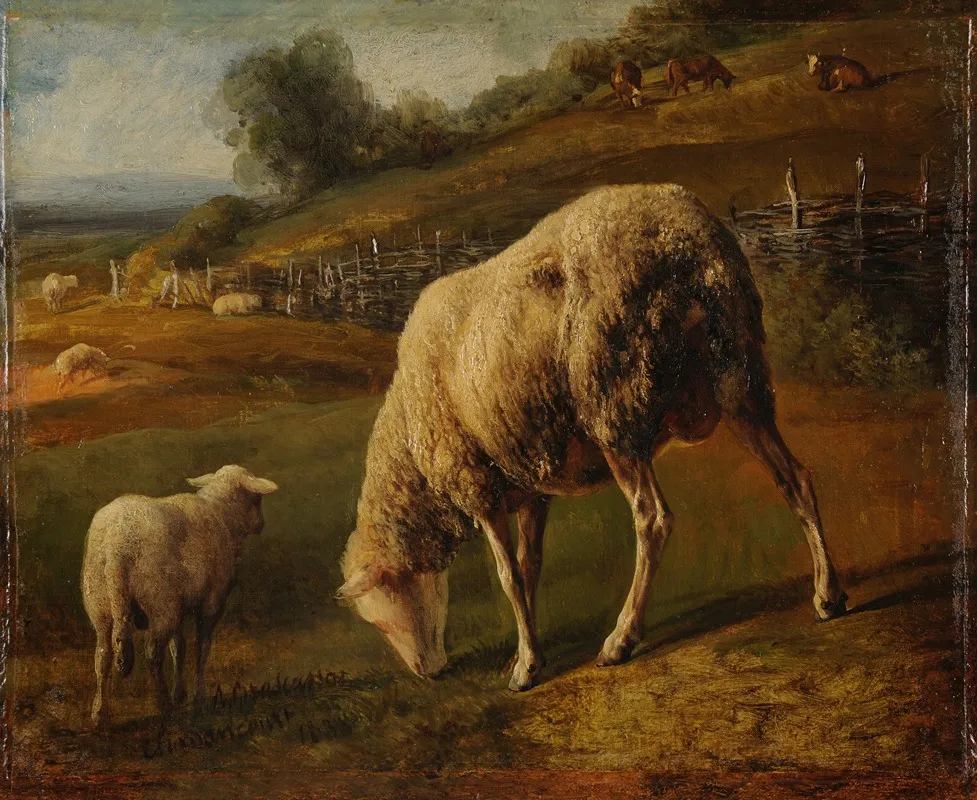Moutons Et Brebis Au Paturage