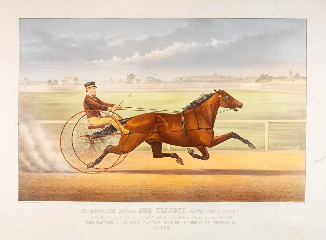 Mr Bonners Horse Joe Elliott Wall Art by John Cameron - High-Resolution Digital Print