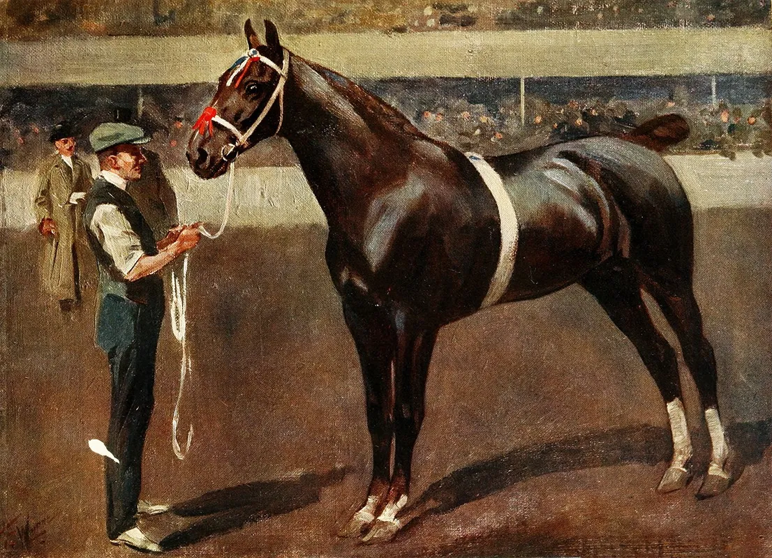 Mr Butlers Hackney Stallion Kirkburn Toreador Wall Art by Frederic Whiting - High-Resolution Digital Print