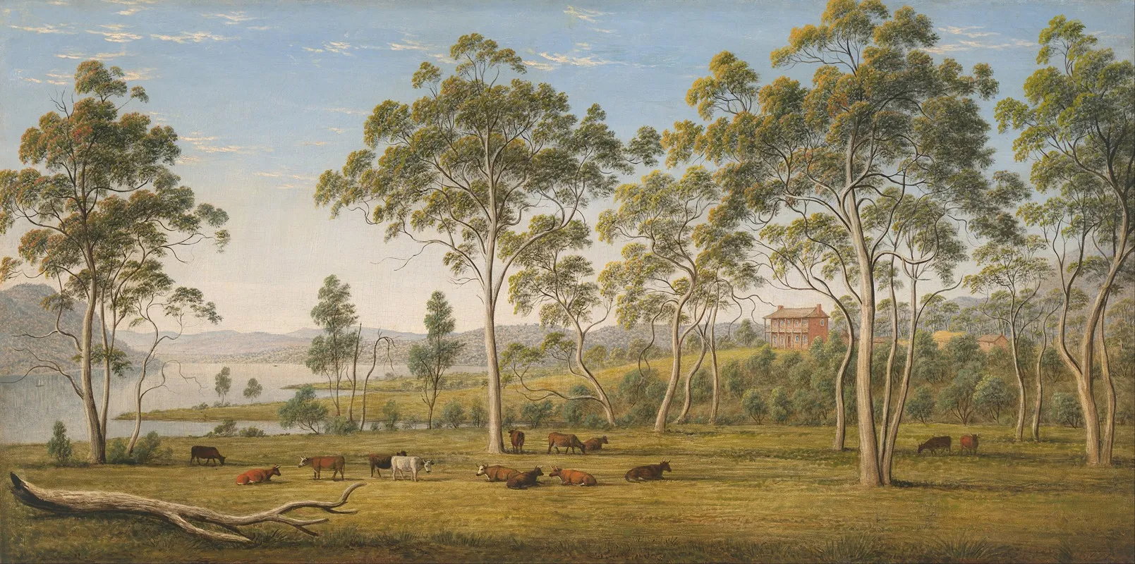 Mr Robinsons House On The Derwent Van Diemens Land