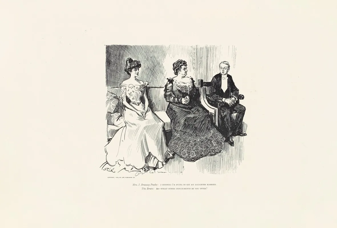 Mrs J Brassy Pushe I Confess Im Dying To Get My Daughter Married Wall Art by Charles Dana Gibson - High-Resolution Digital Print