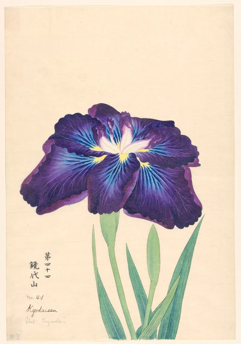 Mt Kyodai Kyodaisan