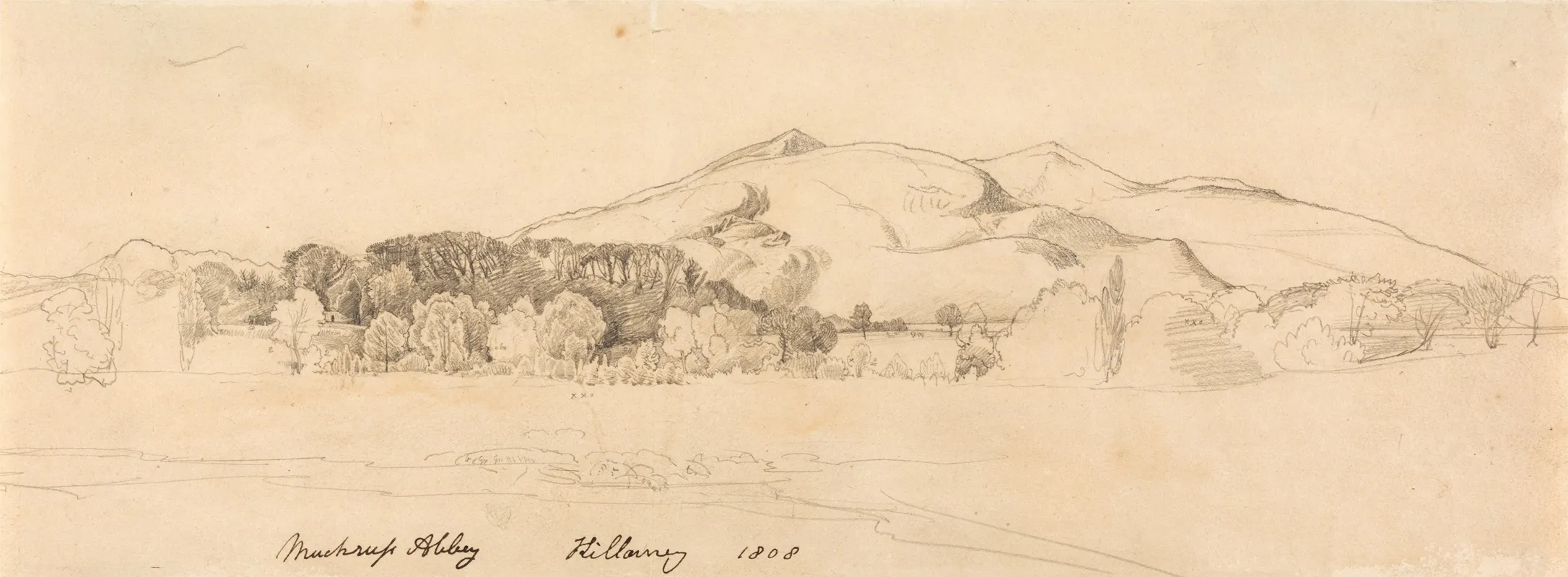 Muckross Abbey Killarney