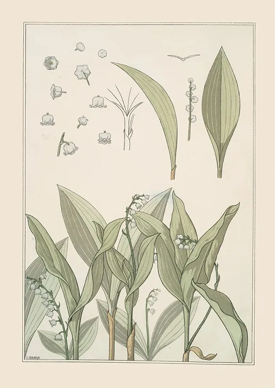 Muguet Wall Art by Maurice Pillard Verneuil - High-Resolution Digital Print