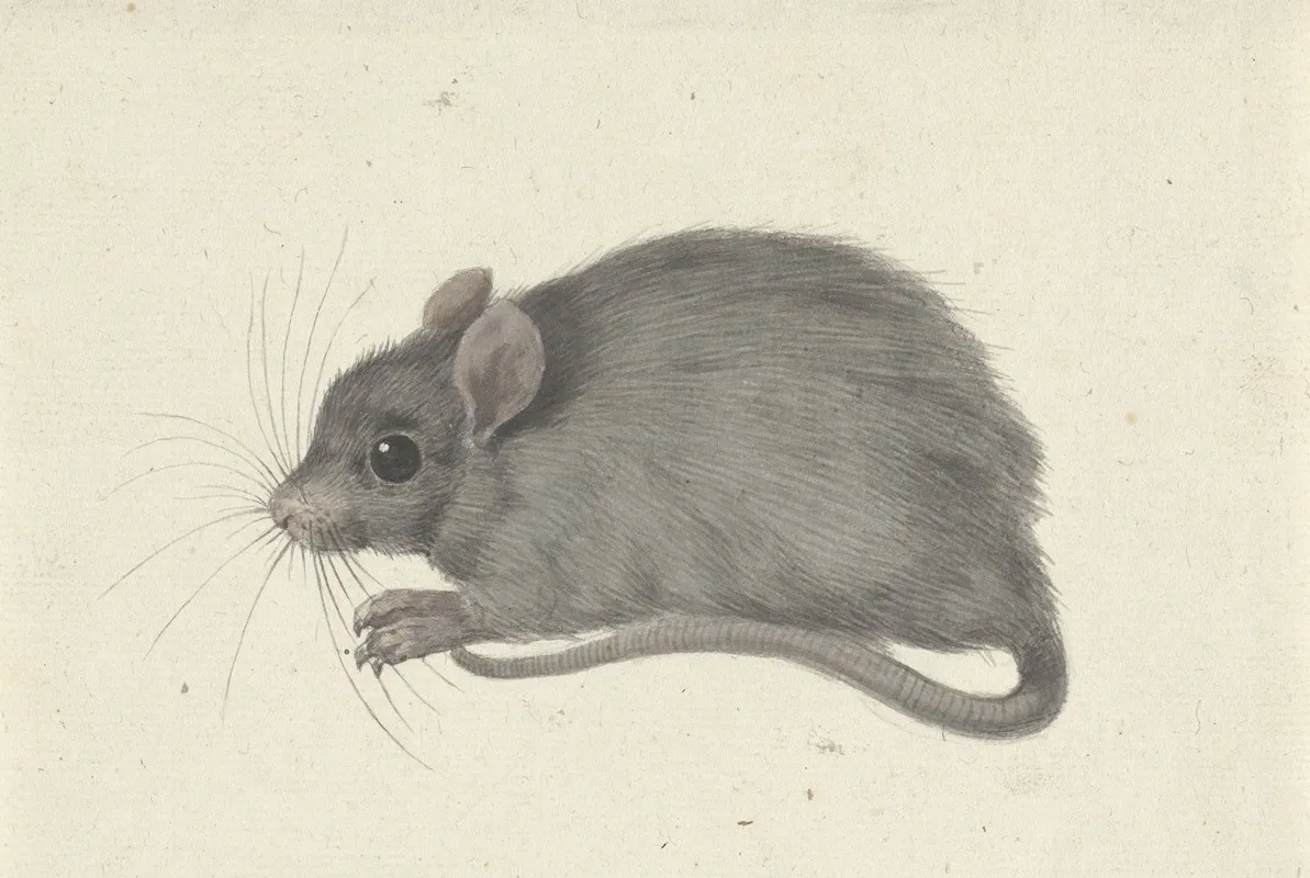 Muis Naar Links Wall Art by Jean Bernard - High-Resolution Digital Print