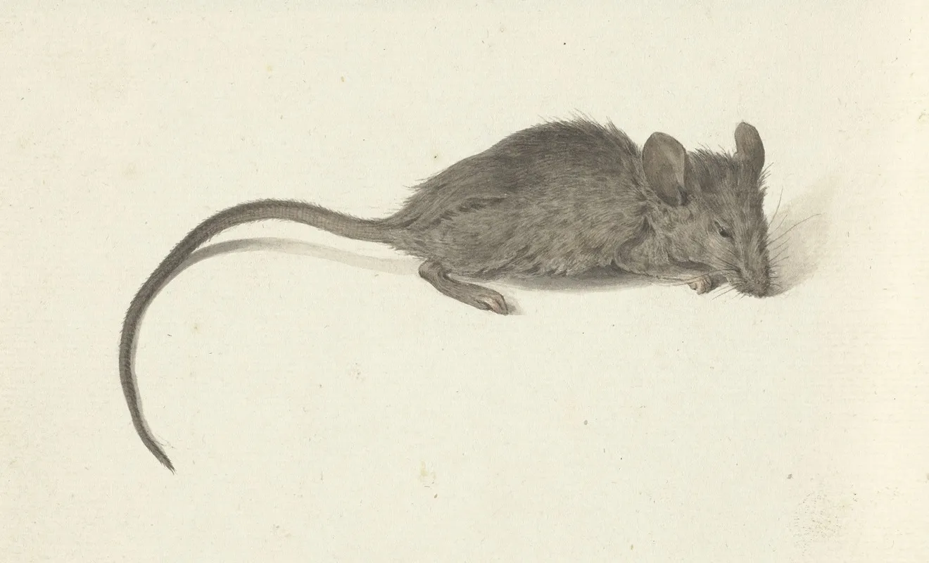 Muis Naar Rechts Wall Art by Jean Bernard - High-Resolution Digital Print