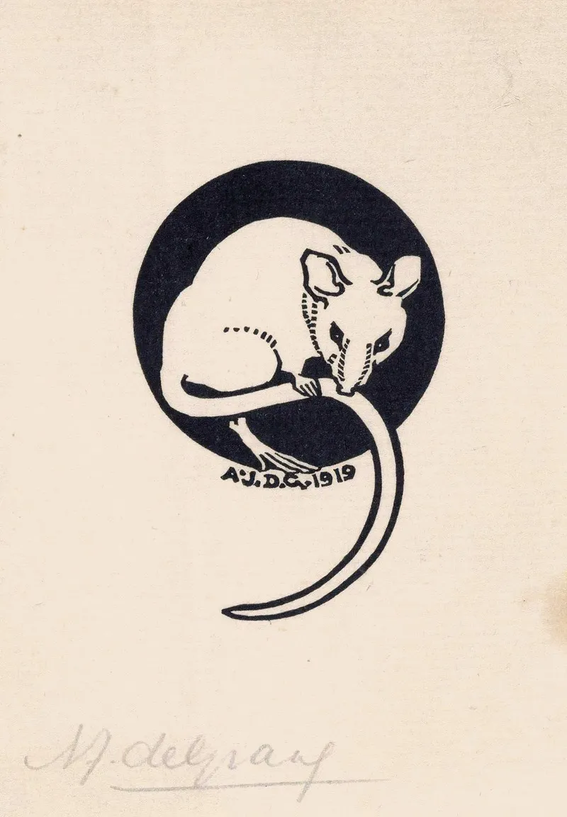 Muis