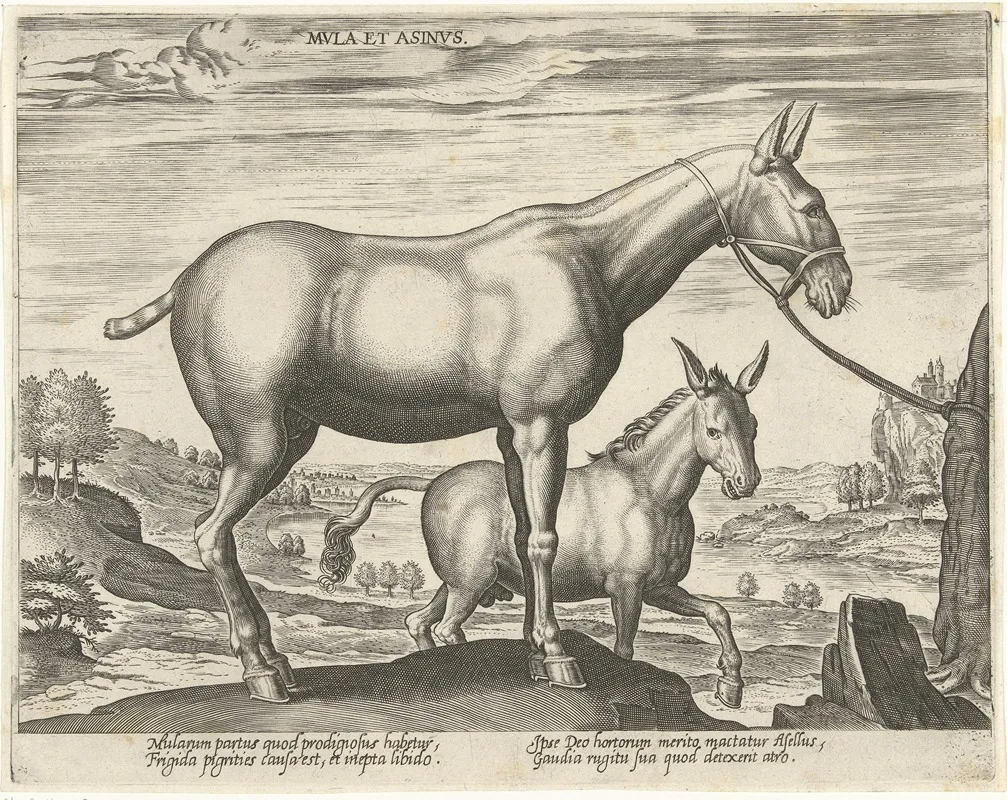 Mula Et Asinus Wall Art by Jan Collaert the Elder - High-Resolution Digital Print