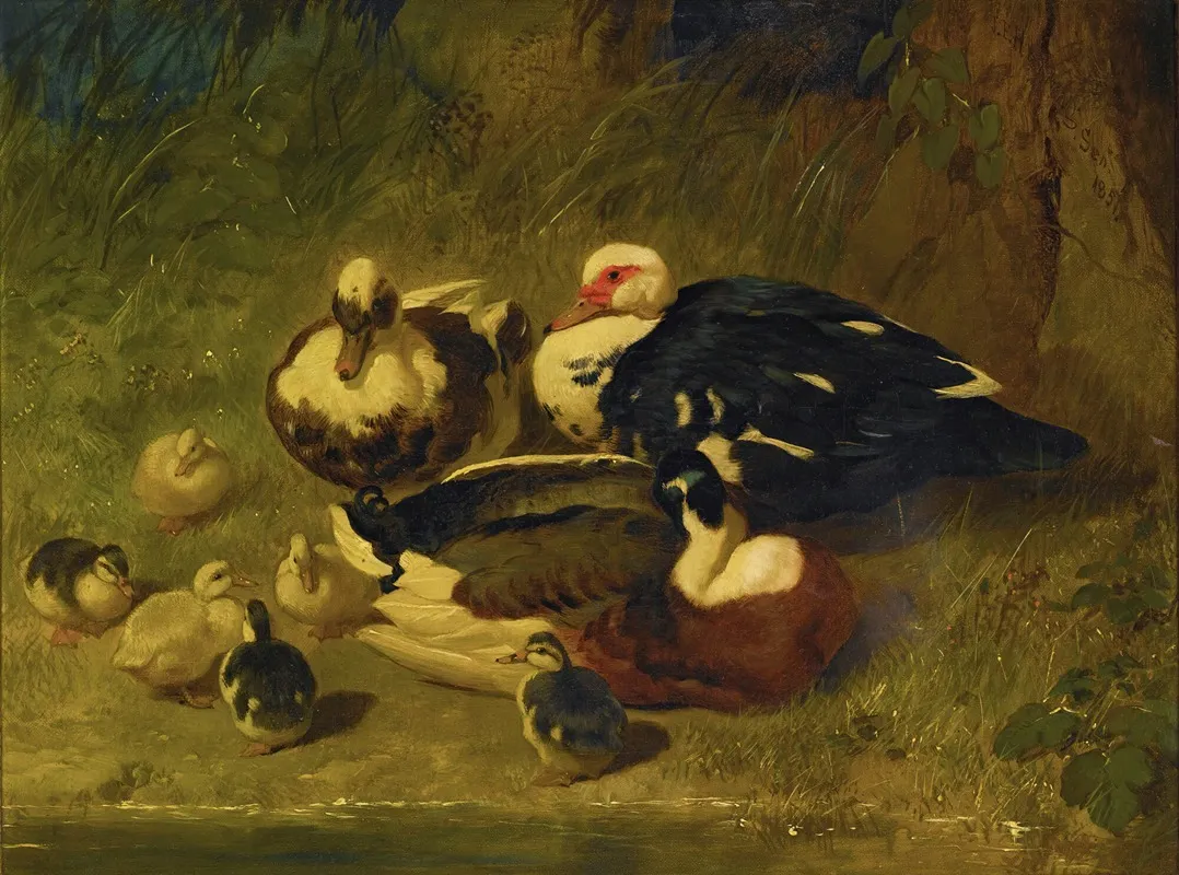 Muscovy Ducks And Ducklings Wall Art by John Frederick Herring Snr. - High-Resolution Digital Print
