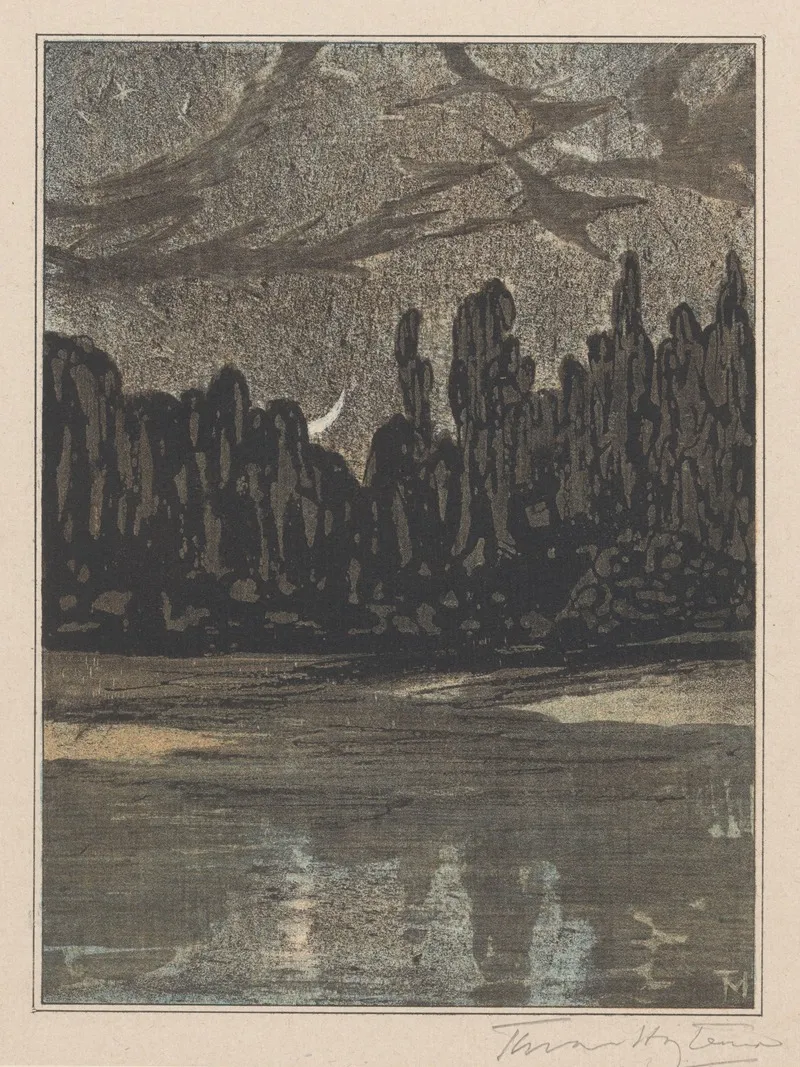 Nachtelijk Landschap Met Trekvogels