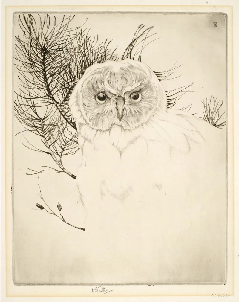 Nantucket Owl Wall Art by Emerson Tuttle - High-Resolution Digital Print
