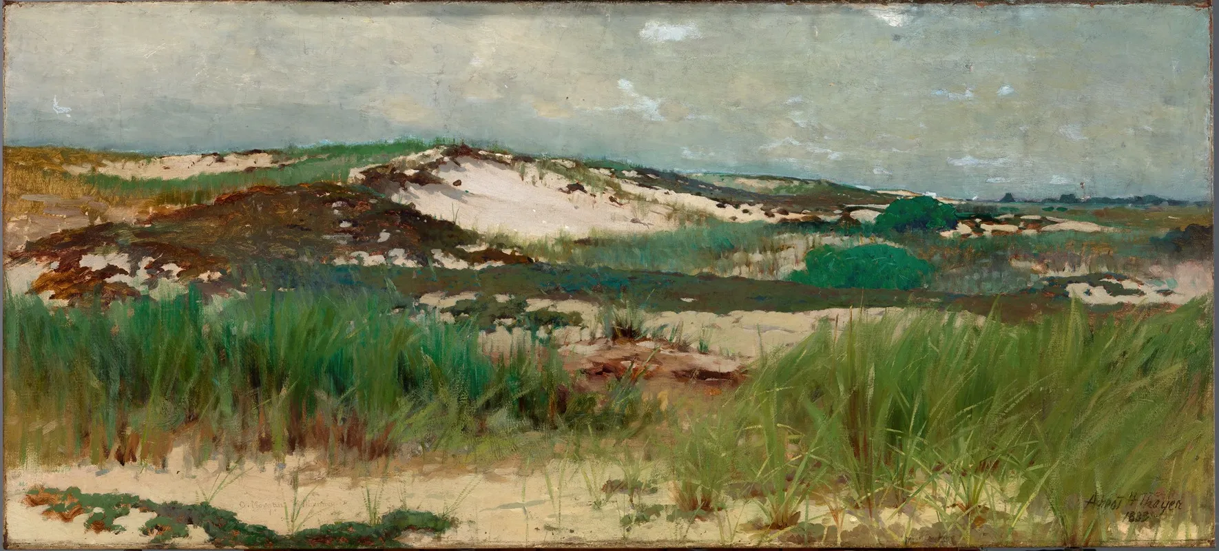 Nantucket Sand Dune Wall Art by Charles Morgan McIlhenney - High-Resolution Digital Print
