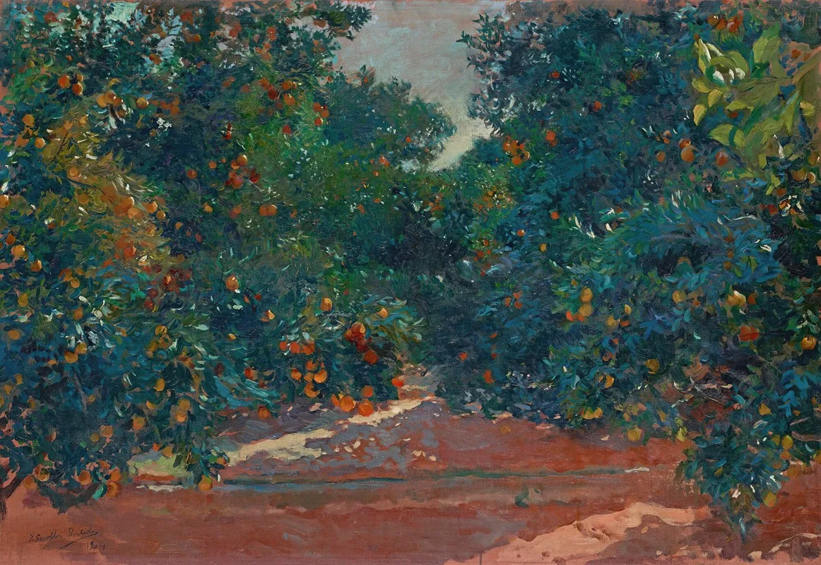 Naranjos De Alcira Orange Trees In Alcira