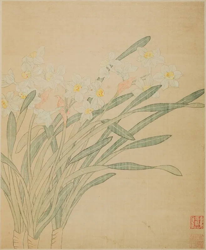 Narcissus 8 Wall Art by Ma Yuanyu - High-Resolution Digital Print