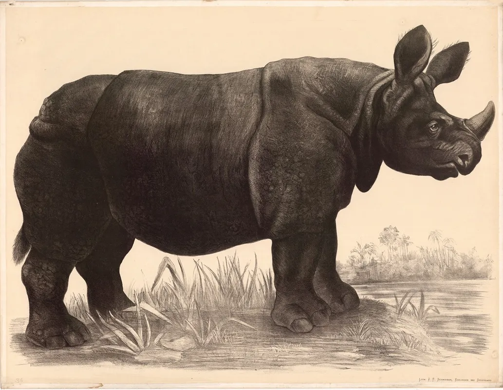 Nashorn Rhinoceros Indicus Wall Art by Franz Engleder - High-Resolution Digital Print