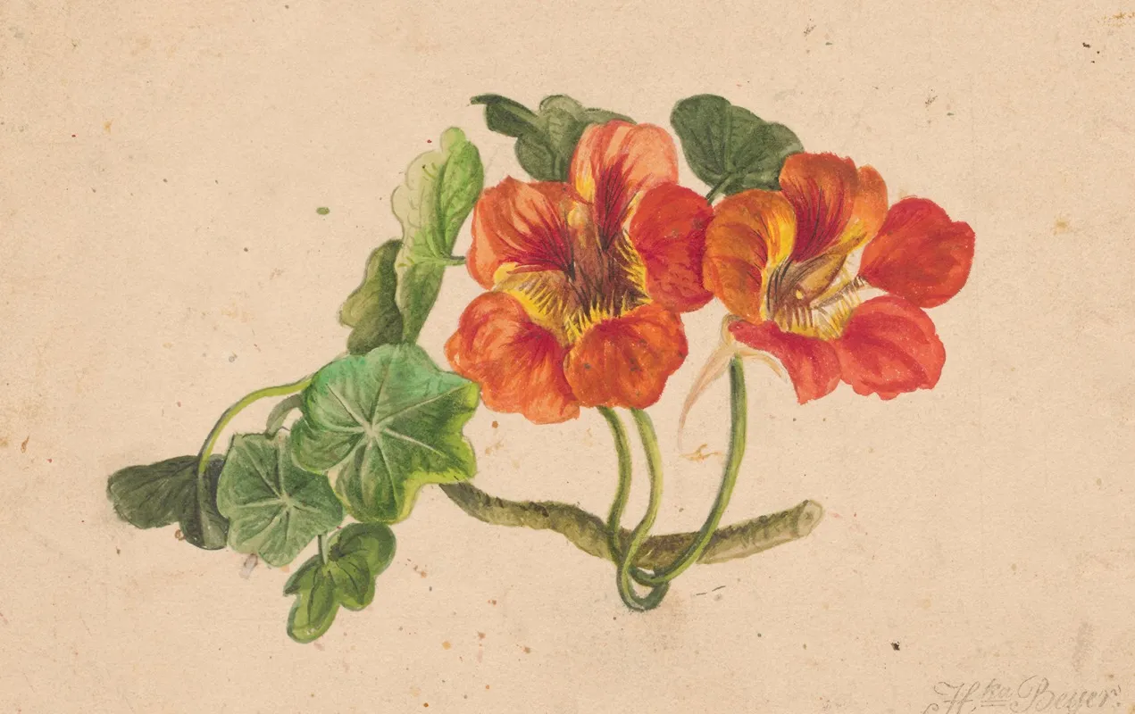 Nasturtium Twig Wall Art by Henryka Beyer - High-Resolution Digital Print