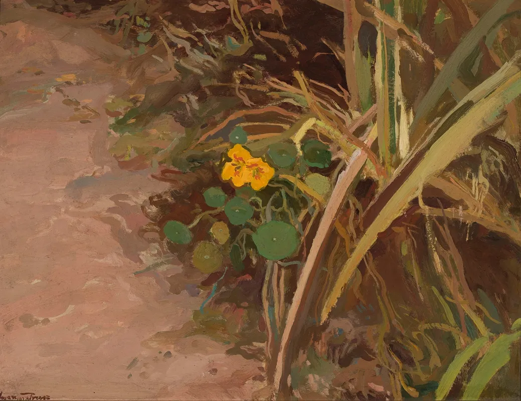 Nasturtiums Solitary Wall Art by Iwan Trusz - High-Resolution Digital Print