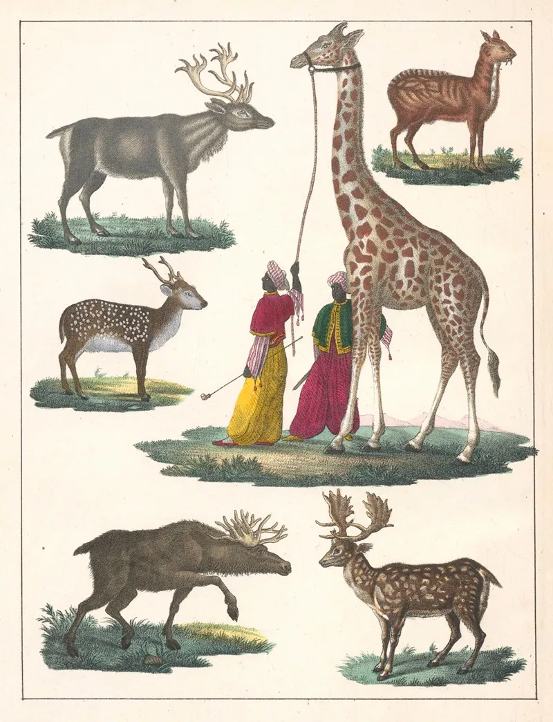 Natural History Galerya Obrazowa Zwierzat Czyli Historya Naturalna Pl 29 Wall Art by Anton Benedikt Reichenbach - High-Resolution Digital Print