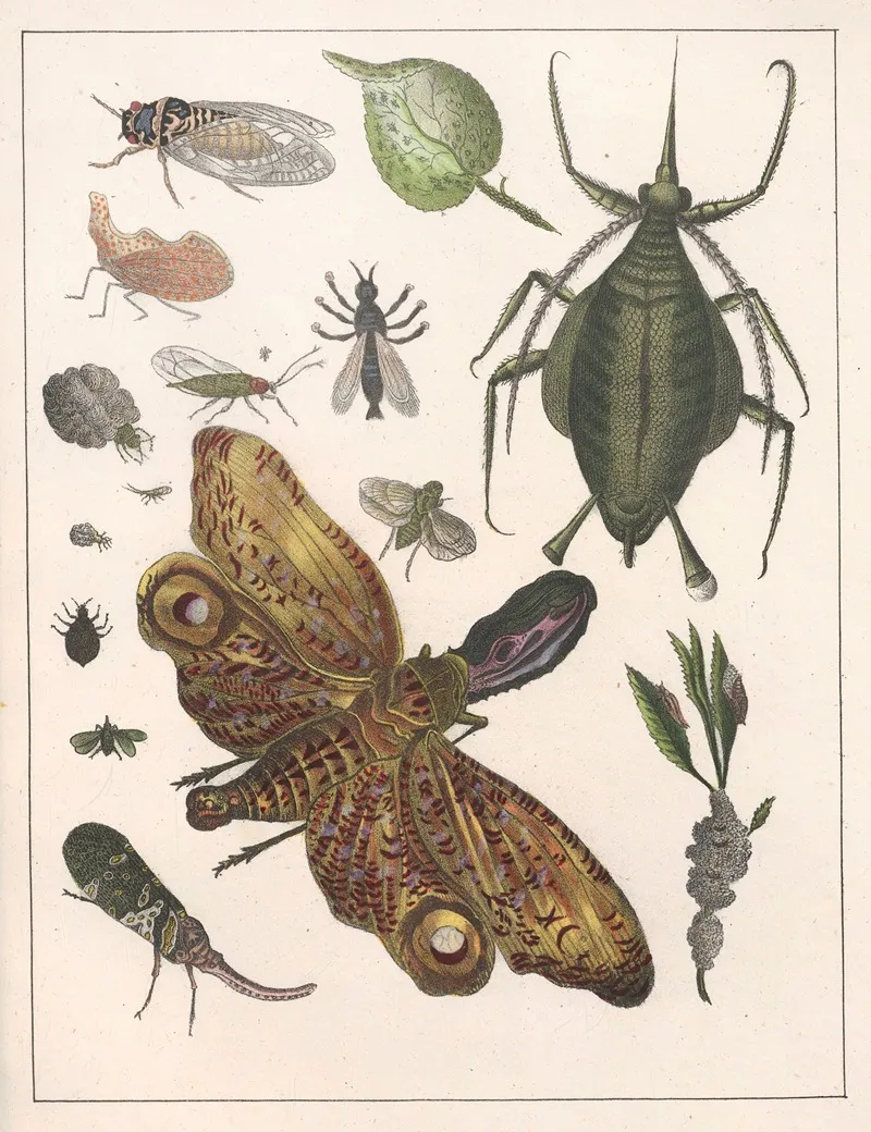 Natural History Galerya Obrazowa Zwierzat Czyli Historya Naturalna Pl 52 Wall Art by Anton Benedikt Reichenbach - High-Resolution Digital Print