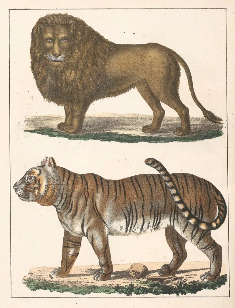 Natural History Galerya Obrazowa Zwierzat Czyli Historya Naturalna Pl 53 Wall Art by Anton Benedikt Reichenbach - High-Resolution Digital Print
