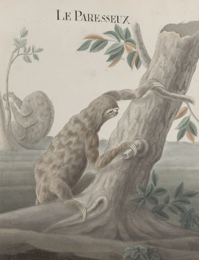 Natural History Of Saint Domingue Pl 059 Wall Art by René de Rabié - High-Resolution Digital Print