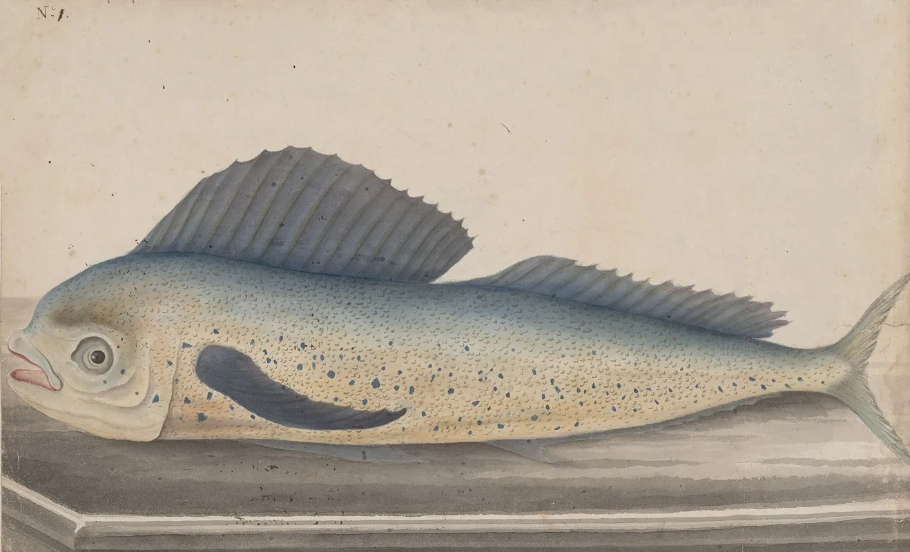 Natural History Of Saint Domingue Pl 060 Wall Art by René de Rabié - High-Resolution Digital Print