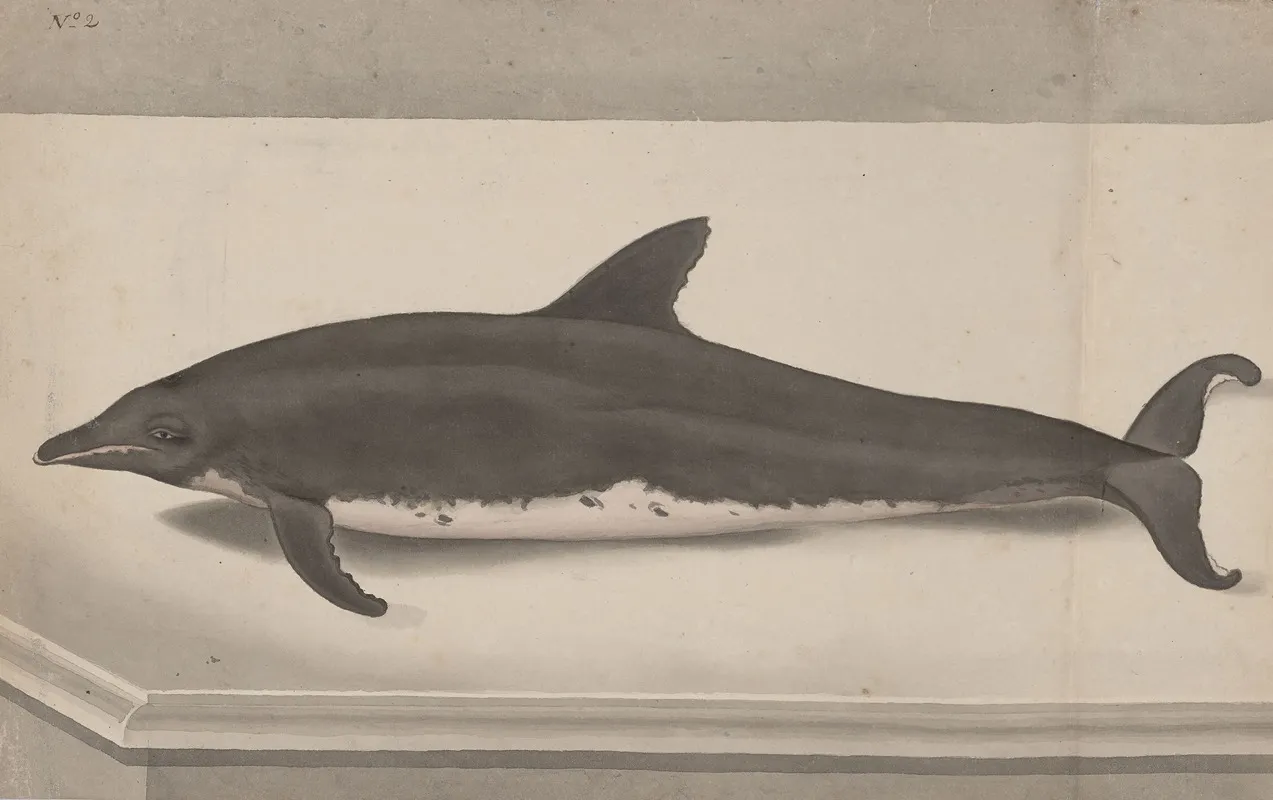 Natural History Of Saint Domingue Pl 061 Wall Art by René de Rabié - High-Resolution Digital Print