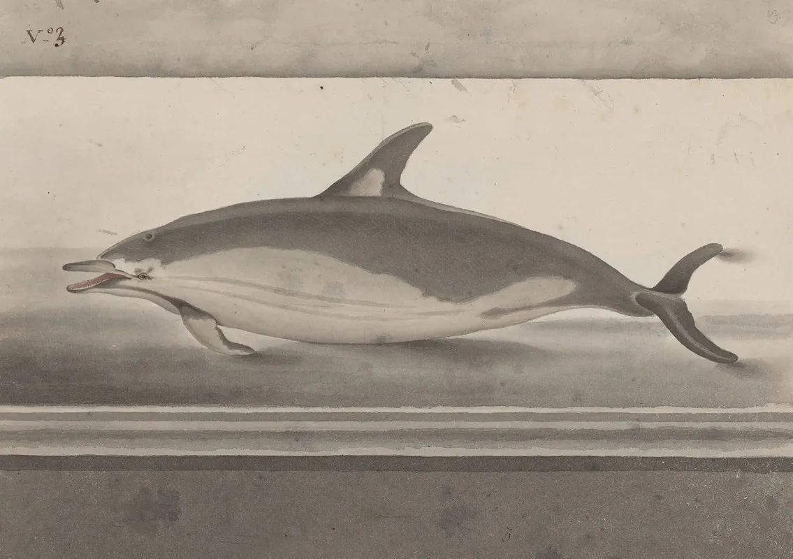 Natural History Of Saint Domingue Pl 062 Wall Art by René de Rabié - High-Resolution Digital Print