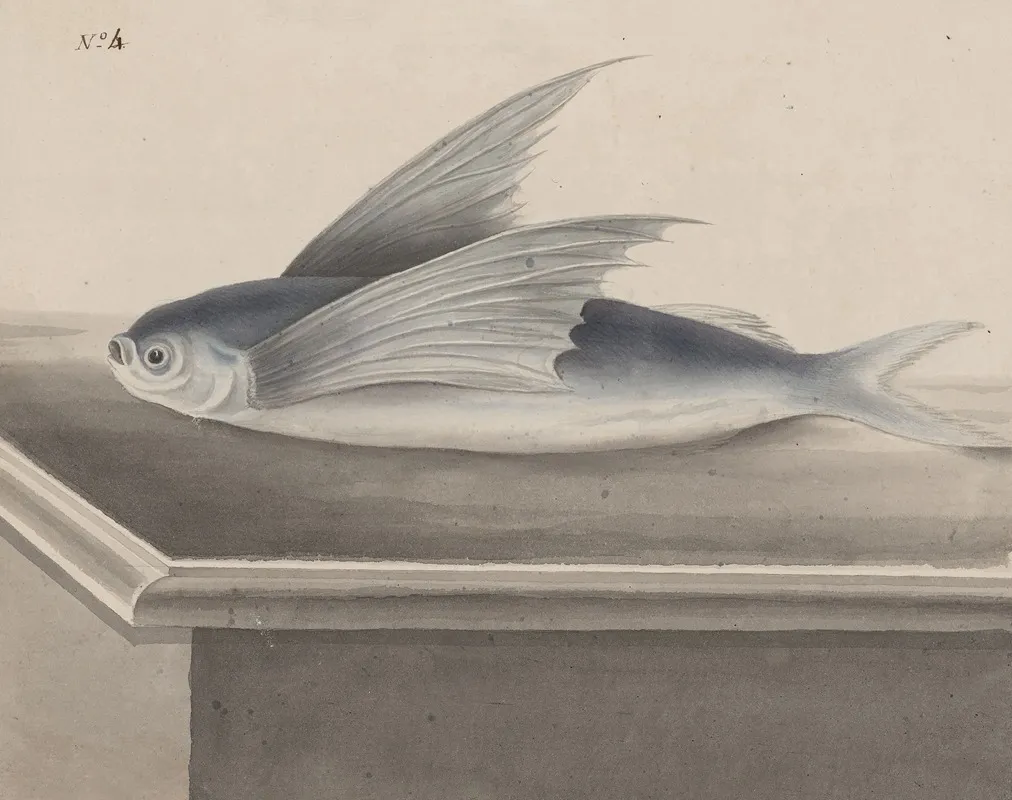 Natural History Of Saint Domingue Pl 063 Wall Art by René de Rabié - High-Resolution Digital Print