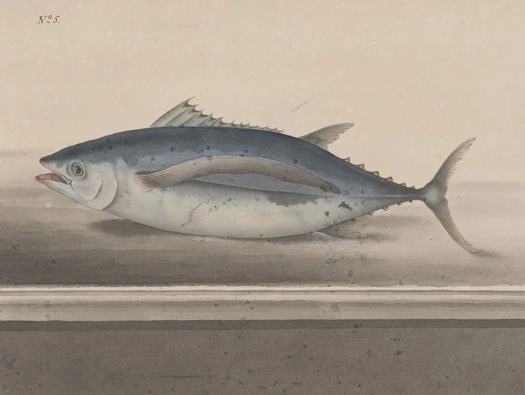 Natural History Of Saint Domingue Pl 065 Wall Art by René de Rabié - High-Resolution Digital Print