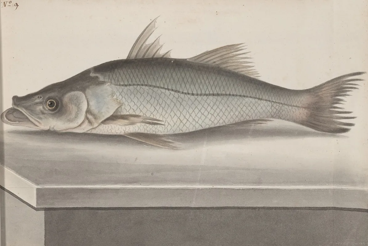 Natural History Of Saint Domingue Pl 070 Wall Art by René de Rabié - High-Resolution Digital Print