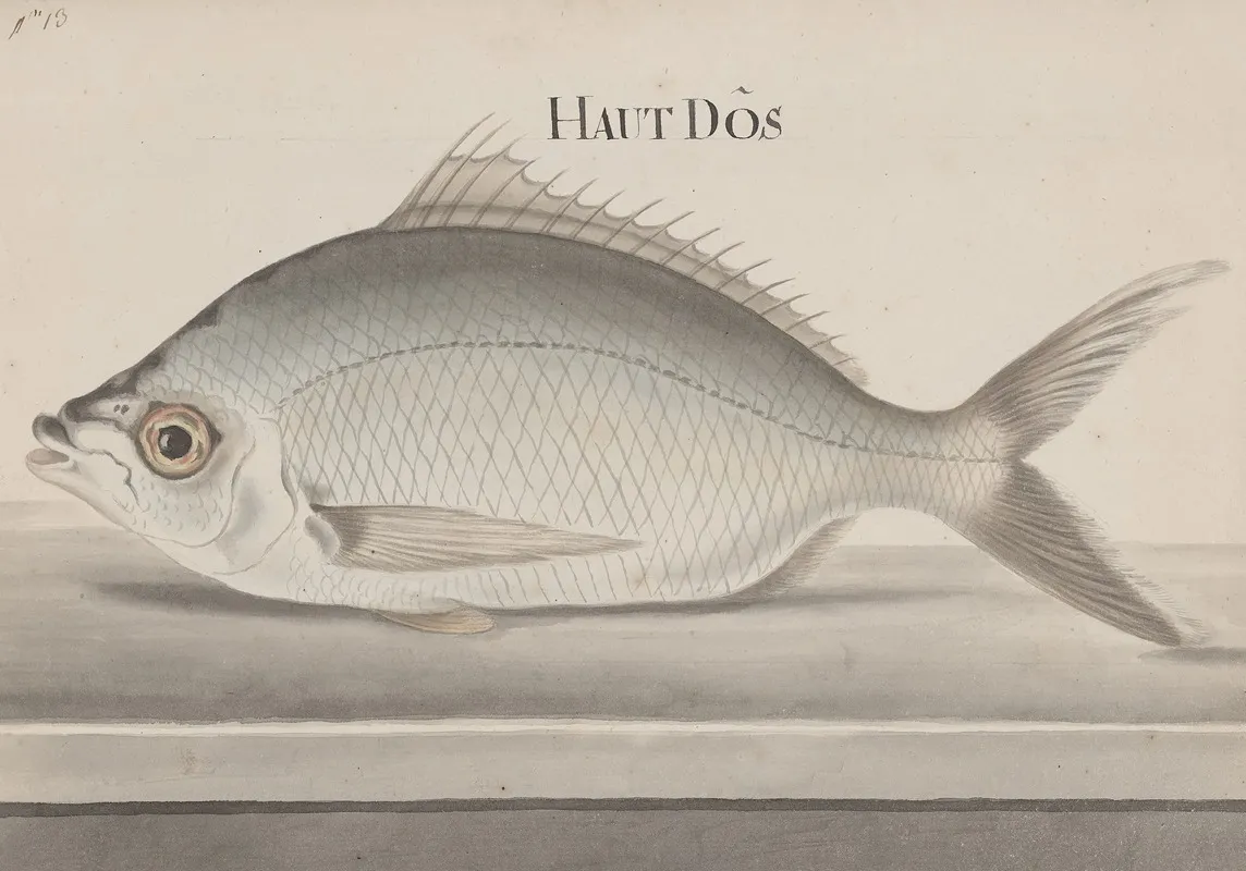 Natural History Of Saint Domingue Pl 072 Wall Art by René de Rabié - High-Resolution Digital Print