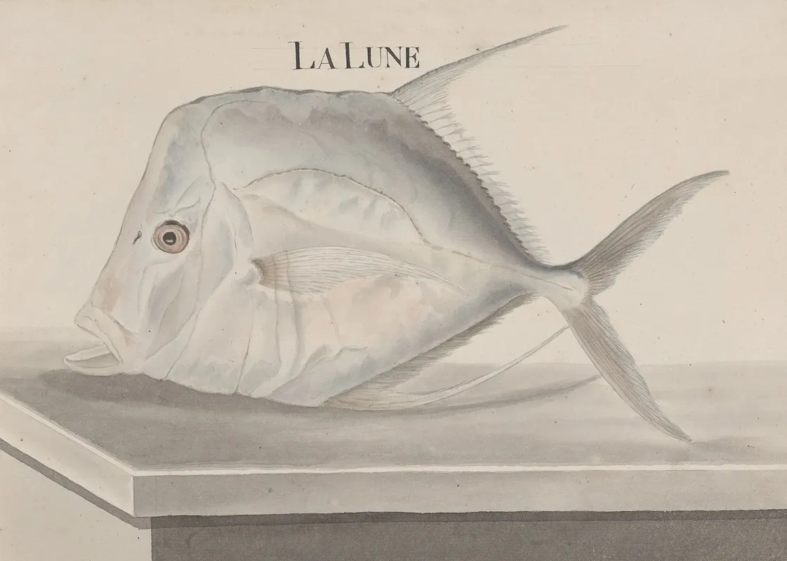 Natural History Of Saint Domingue Pl 073 Wall Art by René de Rabié - High-Resolution Digital Print