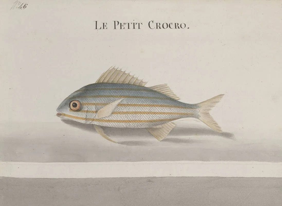 Natural History Of Saint Domingue Pl 083 Wall Art by René de Rabié - High-Resolution Digital Print